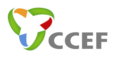 2011ЇڣMչ