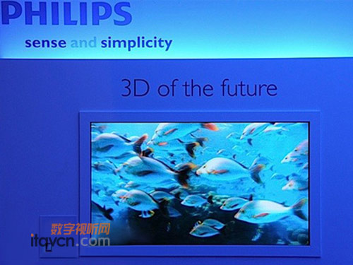 wּ3DҺҕIFA2010