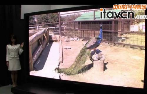 NHKl(f)145Ӣ糬ҕ